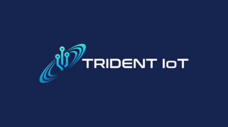 667af190e67efc0677d9a51b Tridentbio