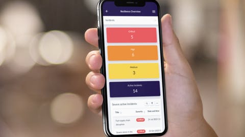 66842ccf5c3457c1cf87a46d Noggin Full