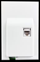 thumbnail_platinum_tools_slimfit_plate_2024