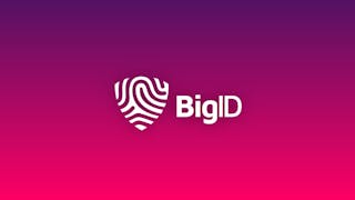 BigID product features