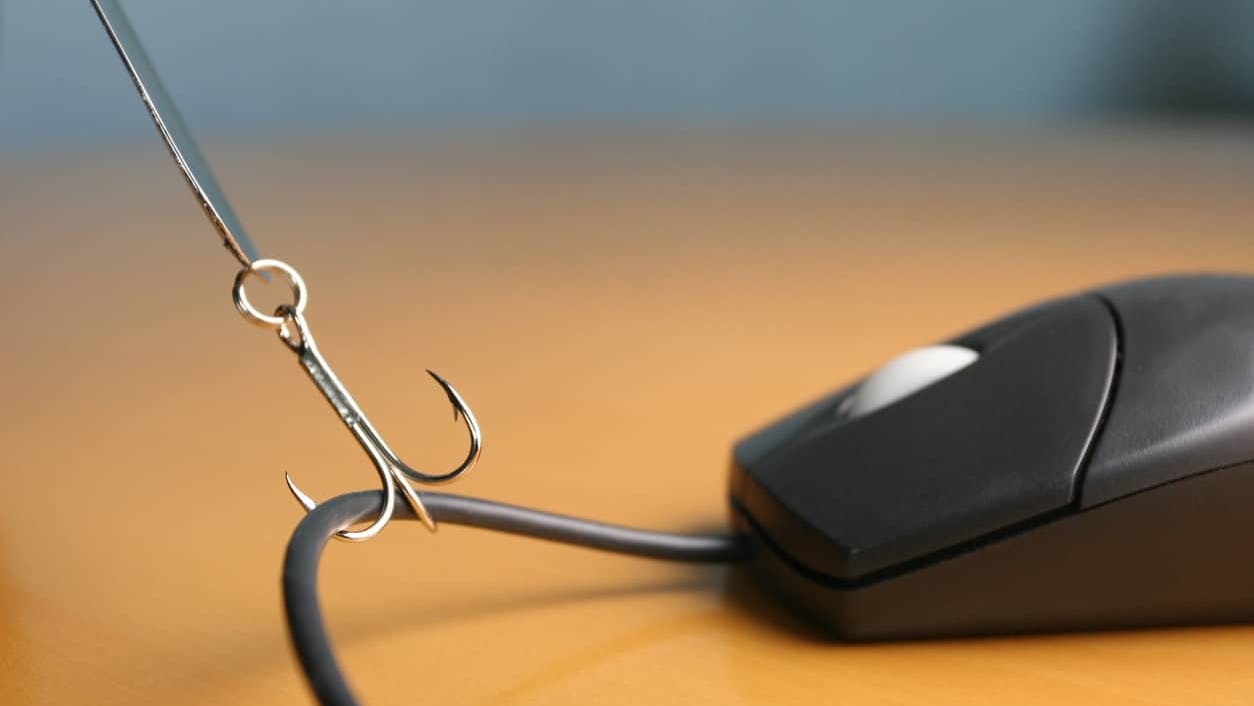 66b3d37538376755d22ee00a Istock918911021