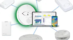 haloamplifyproductlineall2