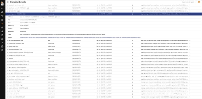 66ccb6f30f5c2840cea72ed0 Embracingmodernvirtualizationwithcalicosmicrosegme