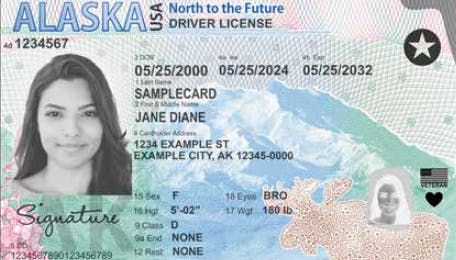 alaska_driver_license_picture