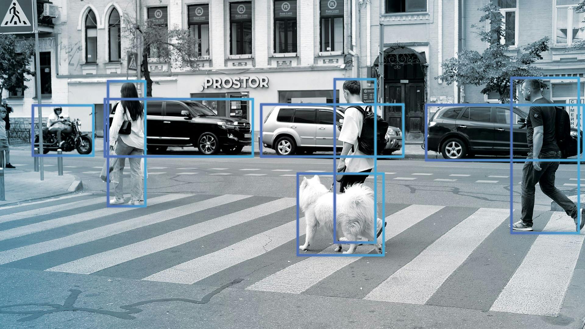 Hailo to showcase AI processing capability at CES 2025