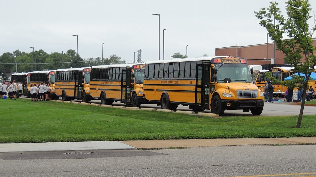 6797ccc64a619d88df49e517 31124500298 186f1f659b B