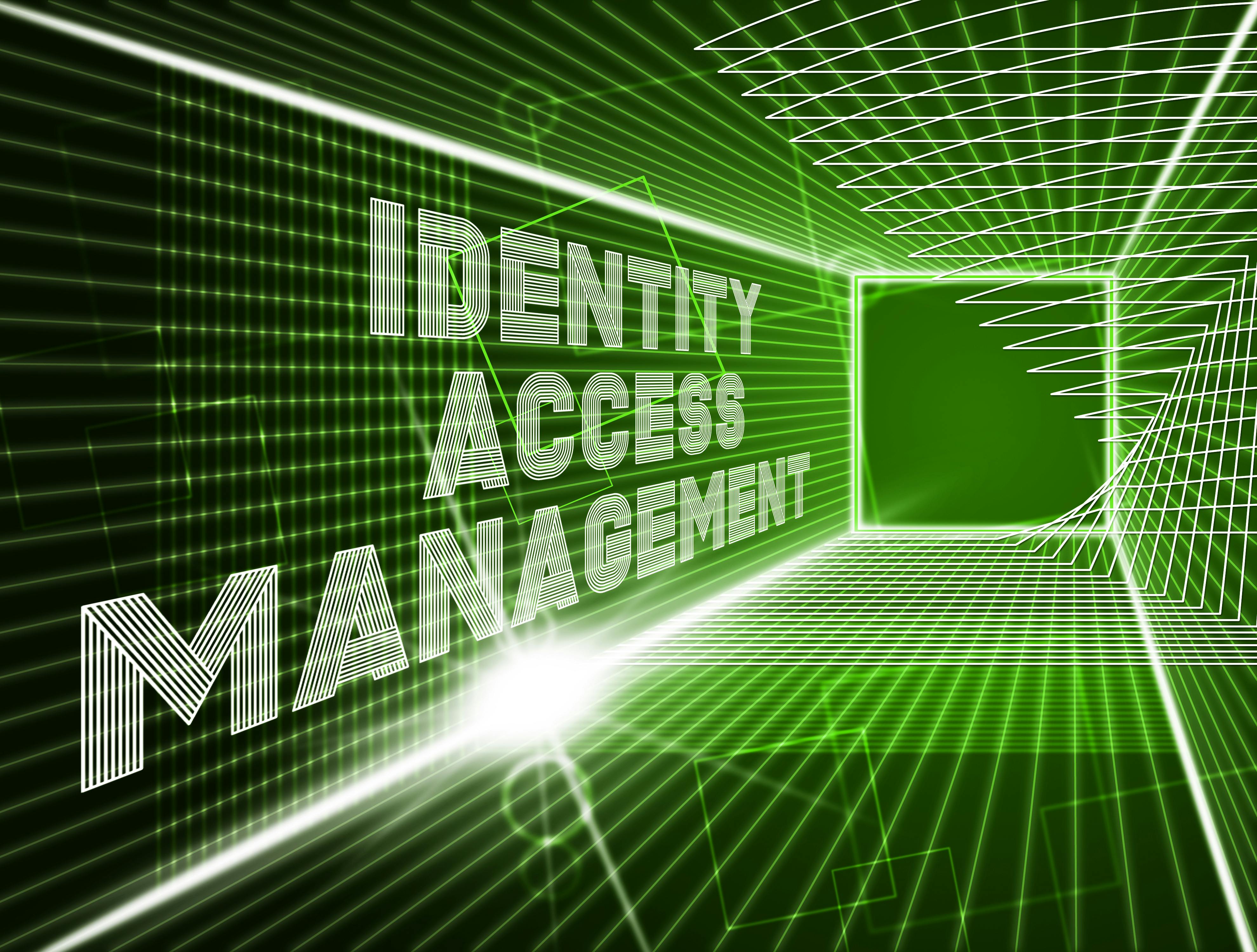 Getting control over identity management requires a comprehensive and ongoing process from risk assessment through daily management.