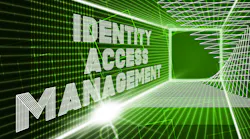 Getting control over identity management requires a comprehensive and ongoing process from risk assessment through daily management.