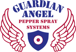 680a94807f6f80c129a9cff2 Thumbnail Guardian Angel Logo 2025