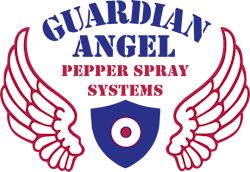 680a94807f6f80c129a9cff2 Thumbnail Guardian Angel Logo 2025 680a94807f6f80c129a9cff2 Thumbnail Guardian Angel Logo 2025