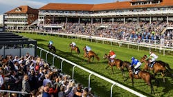 687fc9a5cb3994a58484eee3 Horsetrack 687fc9a5cb3994a58484eee3 Horsetrack