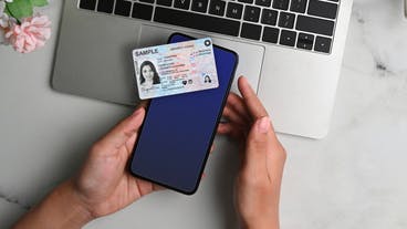 Digital ID Demand Grows as TSA Expands Mobile License Readers, Thales Survey Finds