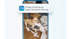 A Ring alert shows a mischievous dog caught on camera shredding paper towels, demonstrating how AI Single Event Alert captures activity in one clear notification.
