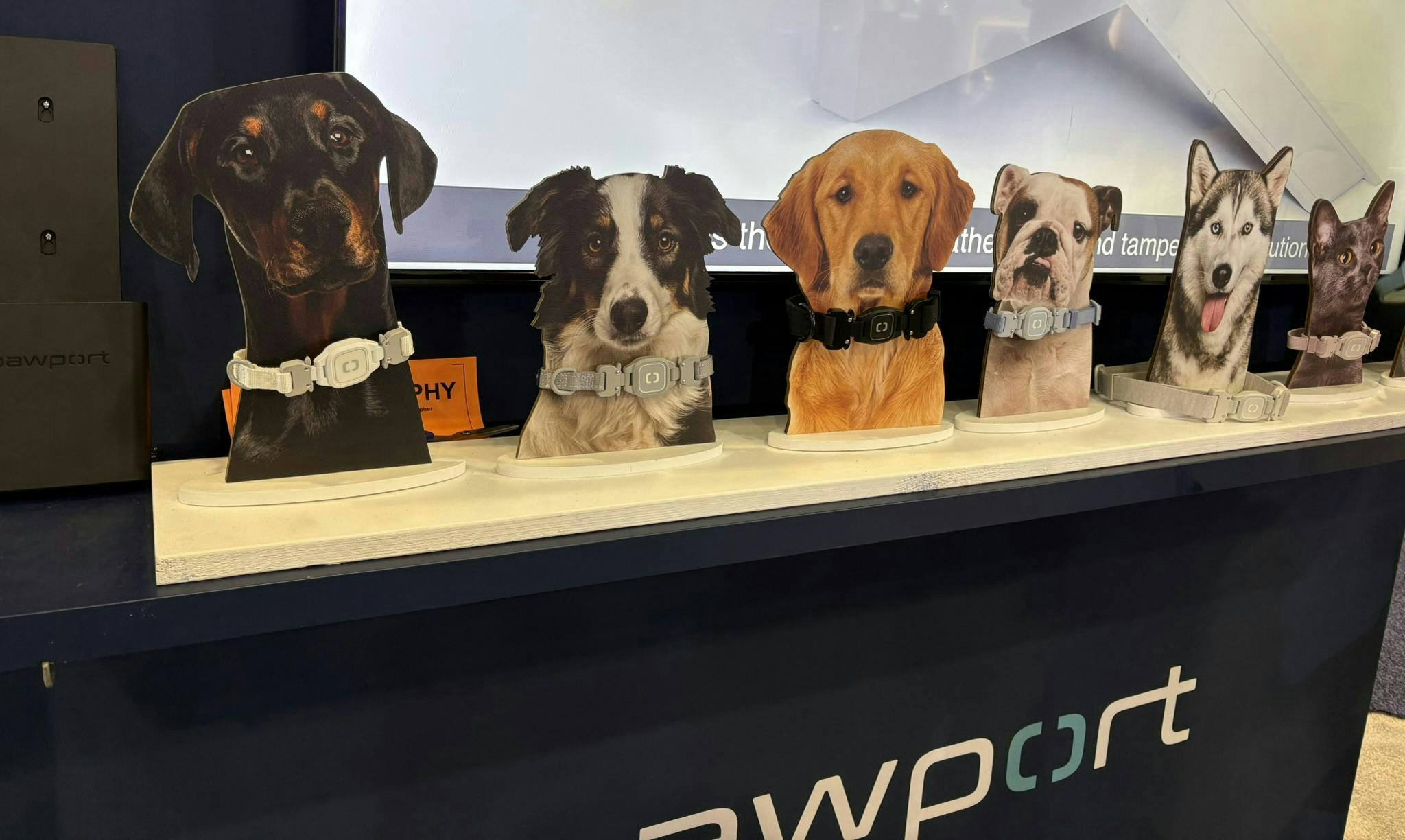 When a pet approaches a Pawport wearing a UWB-enabled collar, the door unlocks and opens.