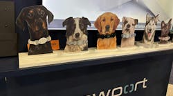 When a pet approaches a Pawport wearing a UWB-enabled collar, the door unlocks and opens. When a pet approaches a Pawport wearing a UWB-enabled collar, the door unlocks and opens.