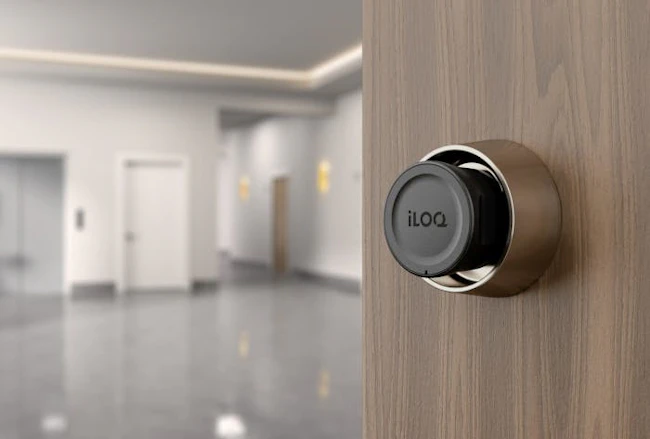 699e4d4a2fe1b0ac06b2d35f Iloq Mortise Cylinder