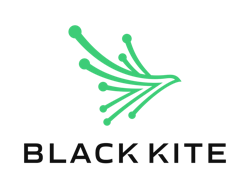 69b970b2e3b269c506316bcb Black Kite 69b970b2e3b269c506316bcb Black Kite