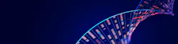 Nokia's Deepfield Genome Shield platform delivers proactive network-wide automation to help service providers defend against modern DDoS and botnet-driven threats. Nokia's Deepfield Genome Shield platform delivers proactive network-wide automation to help service providers defend against modern DDoS and botnet-driven threats.